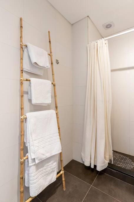 Dpto 1 Dorm Vista Al Botanico Amenities