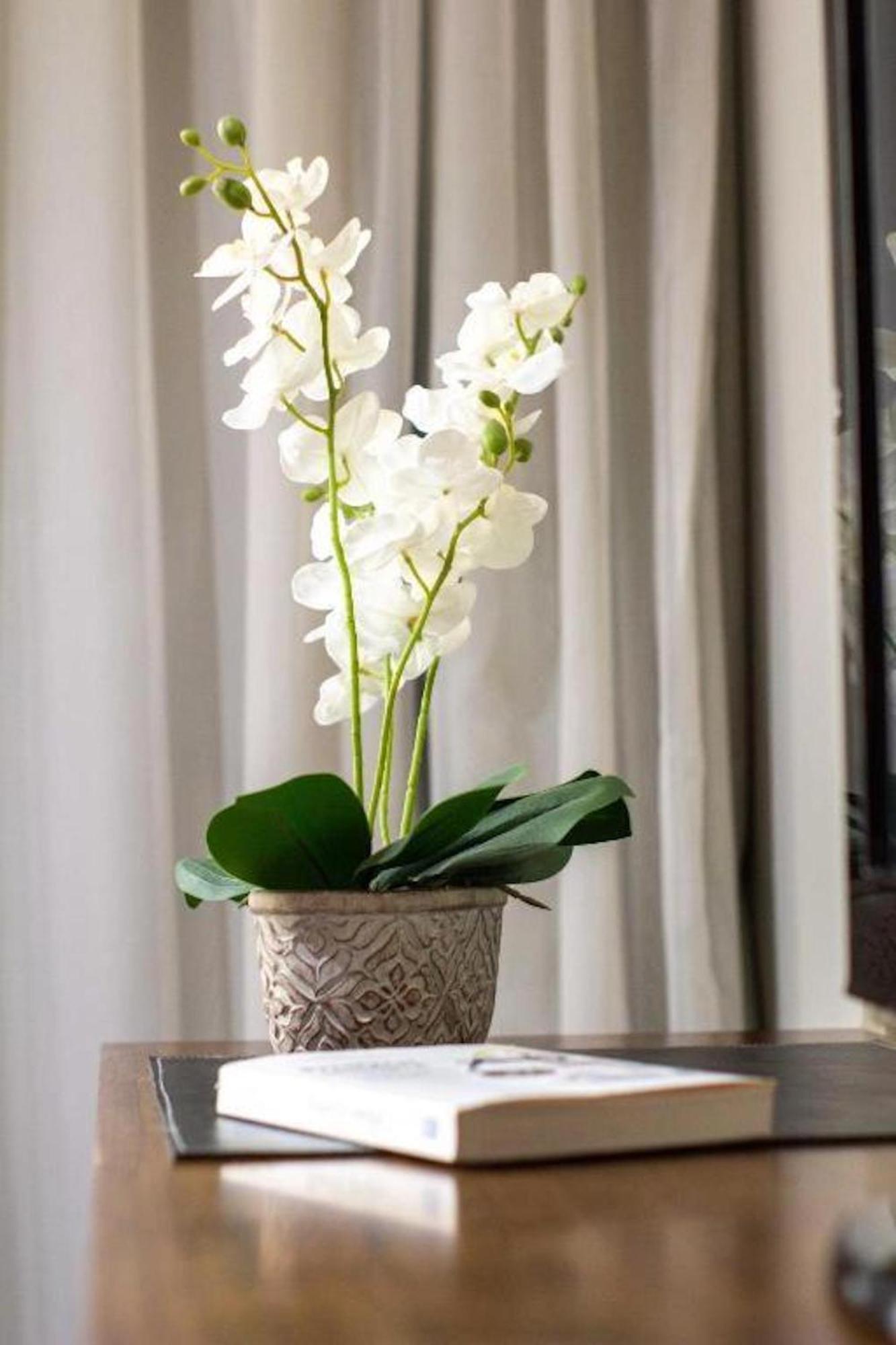 Apartamento Modern And Cozy En Palermo Soho - T211 *