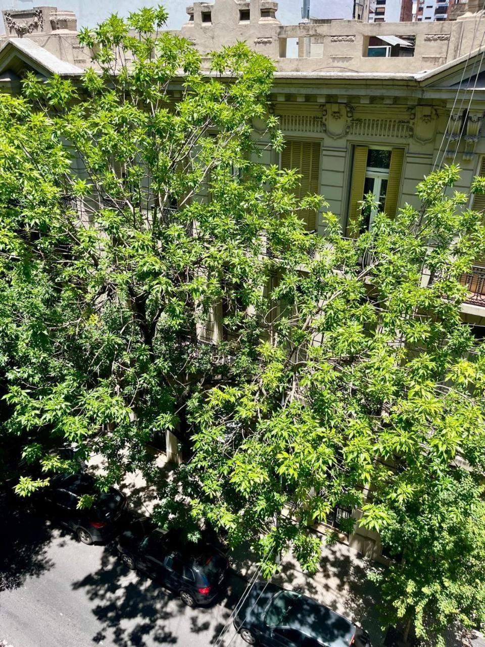 Apartamento Super Cute Con Hermoso Balcon A Estrenar En Recoleta