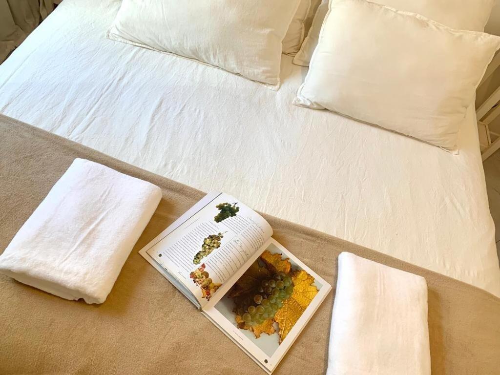 Apartamento Departamento En Palermo Chico