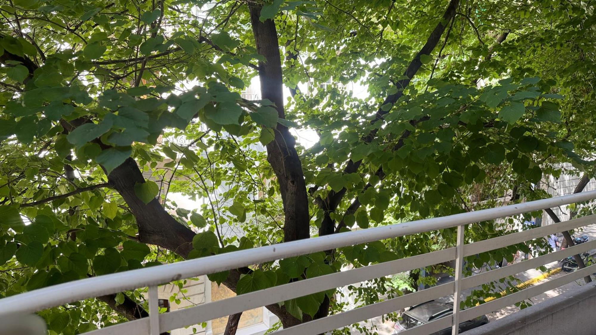 Apartamento La Mejor Cuadra De Recoleta *