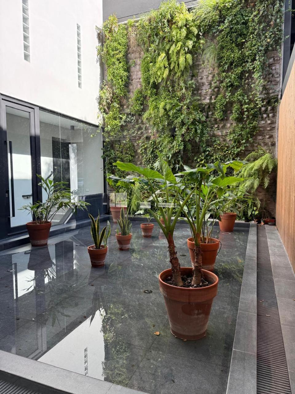 Nuevo Depto Full Amenities Divino! Apartamento