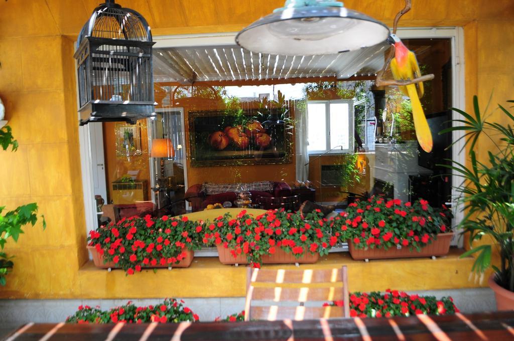 Bed and breakfast Optimus Ba Ciudad Autónoma de Buenos Aires