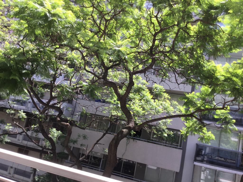 Araoz 2055 Apartamento Buenos Aires