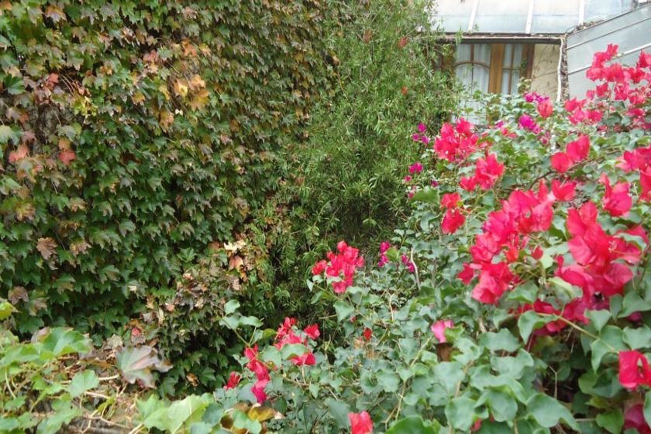 Boutique Casa Rugantino 3* Buenos Aires