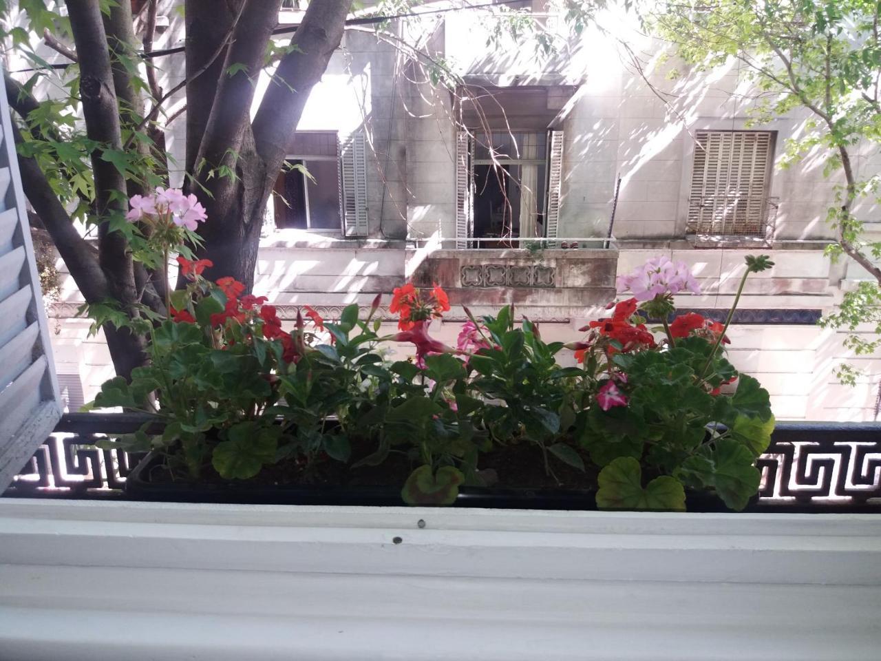 Kalahat * Buenos Aires