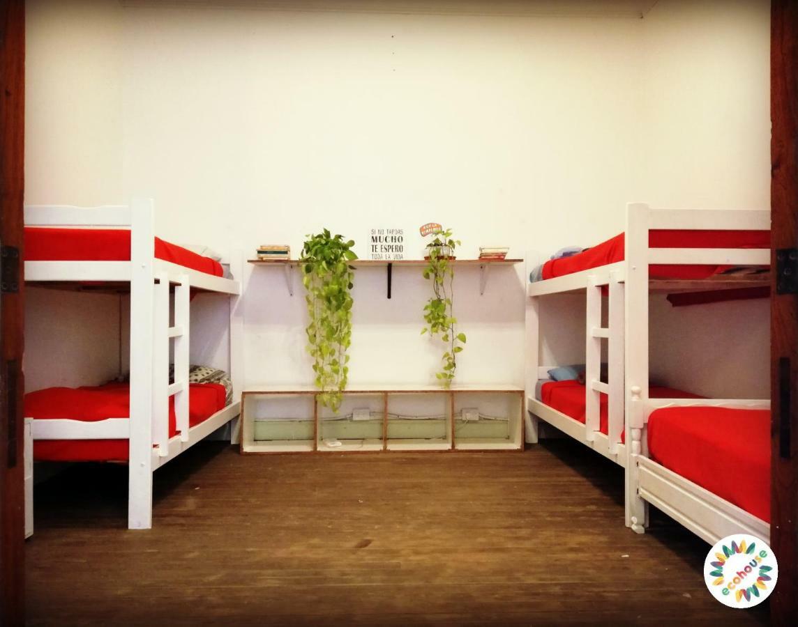 Hostel Eco House