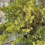 Hermoso Departamento Tres Ambientes En Belgrano