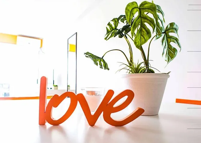 Studio luminoso impecable y chic