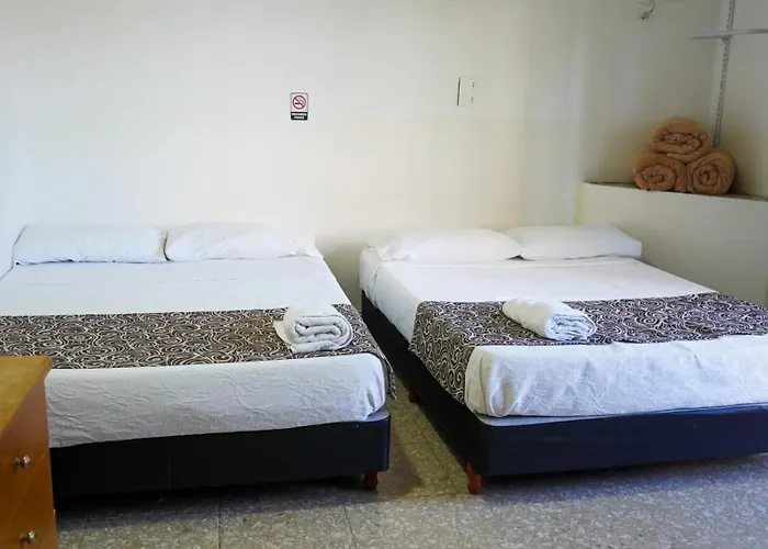 Hostal Con Terraza Y Parrilla En Palermo