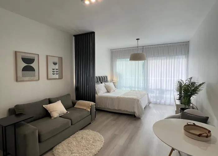 Departamento En Recoleta II
