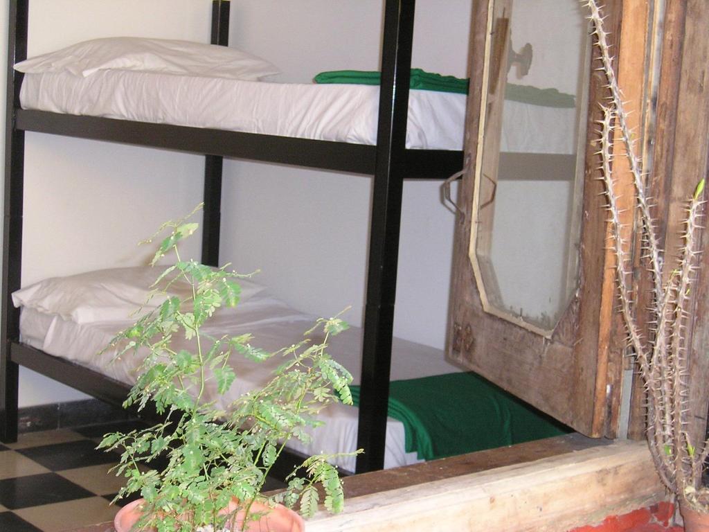 Kilca Backpacker Ciudad Autónoma de Buenos Aires