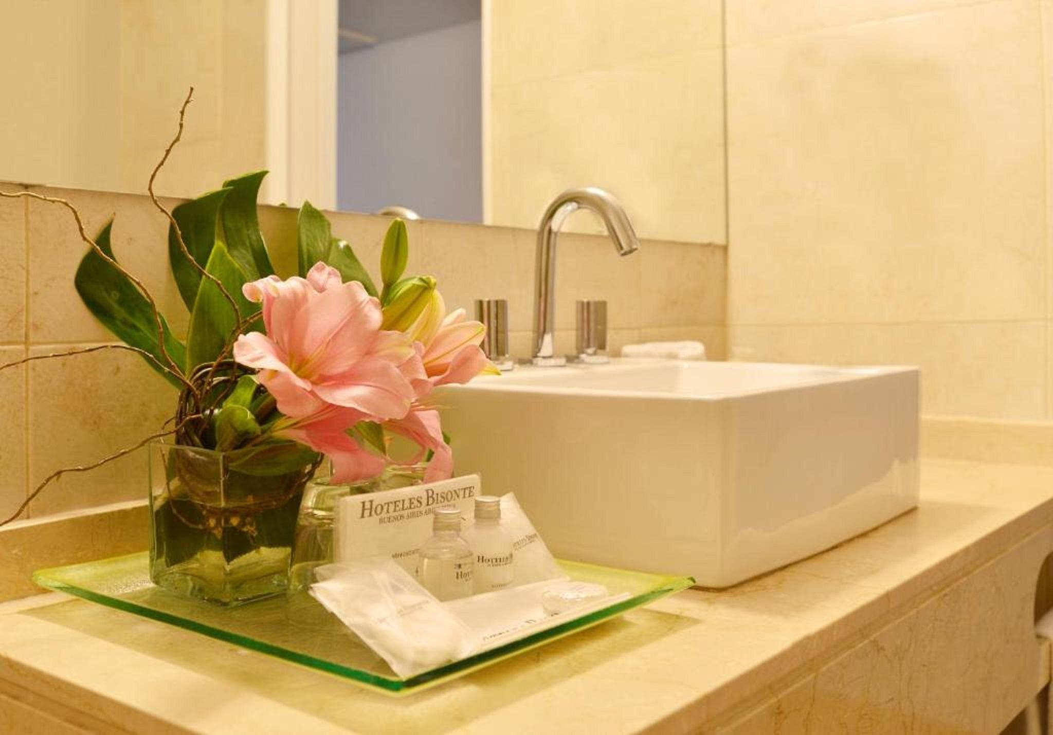Bisonte Libertad Hotel Ciudad Autónoma de Buenos Aires