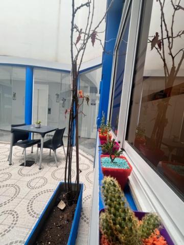Hotel Atepsa 2*