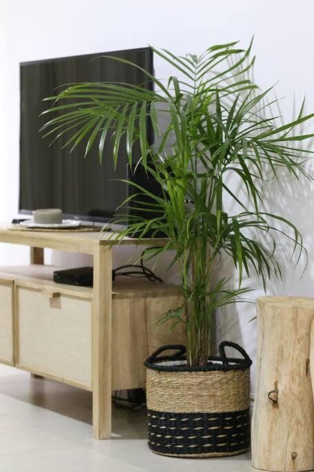 B- Creado Un Boutique En Palermo Chico