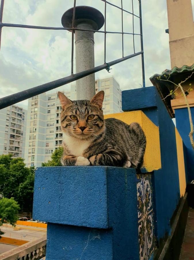 Junior Pensión *