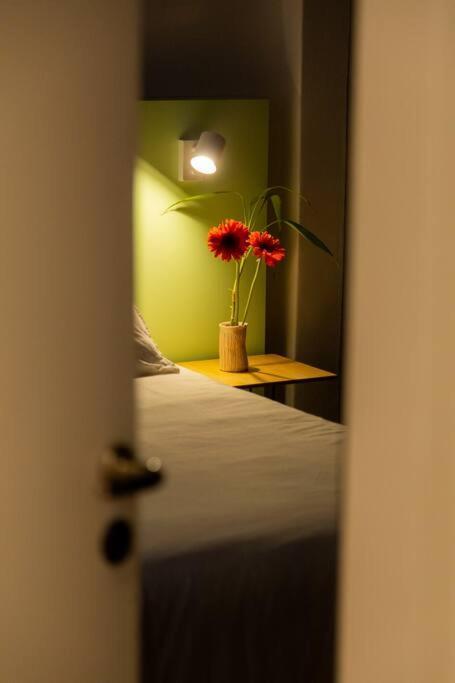 Apartamento Feel Coziness In The Overwhelming *