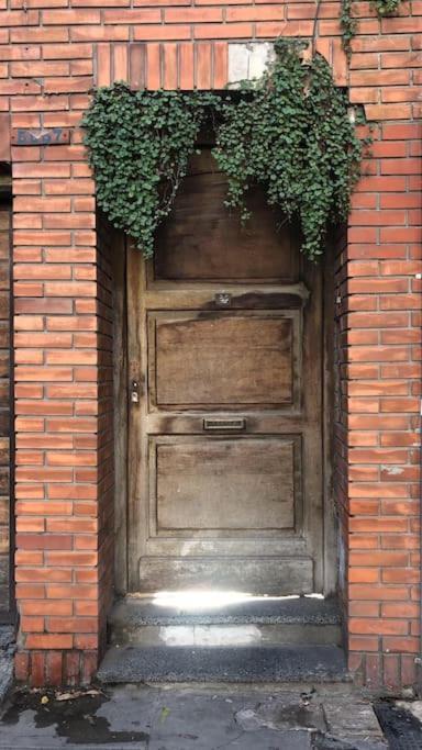 Apartamento Con Terraza Y Plantas Apartamento