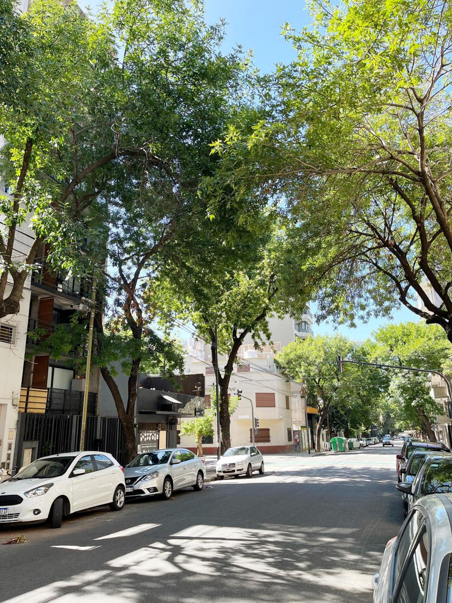 Apartment Mono Ambiente En Palermo Hollywood *