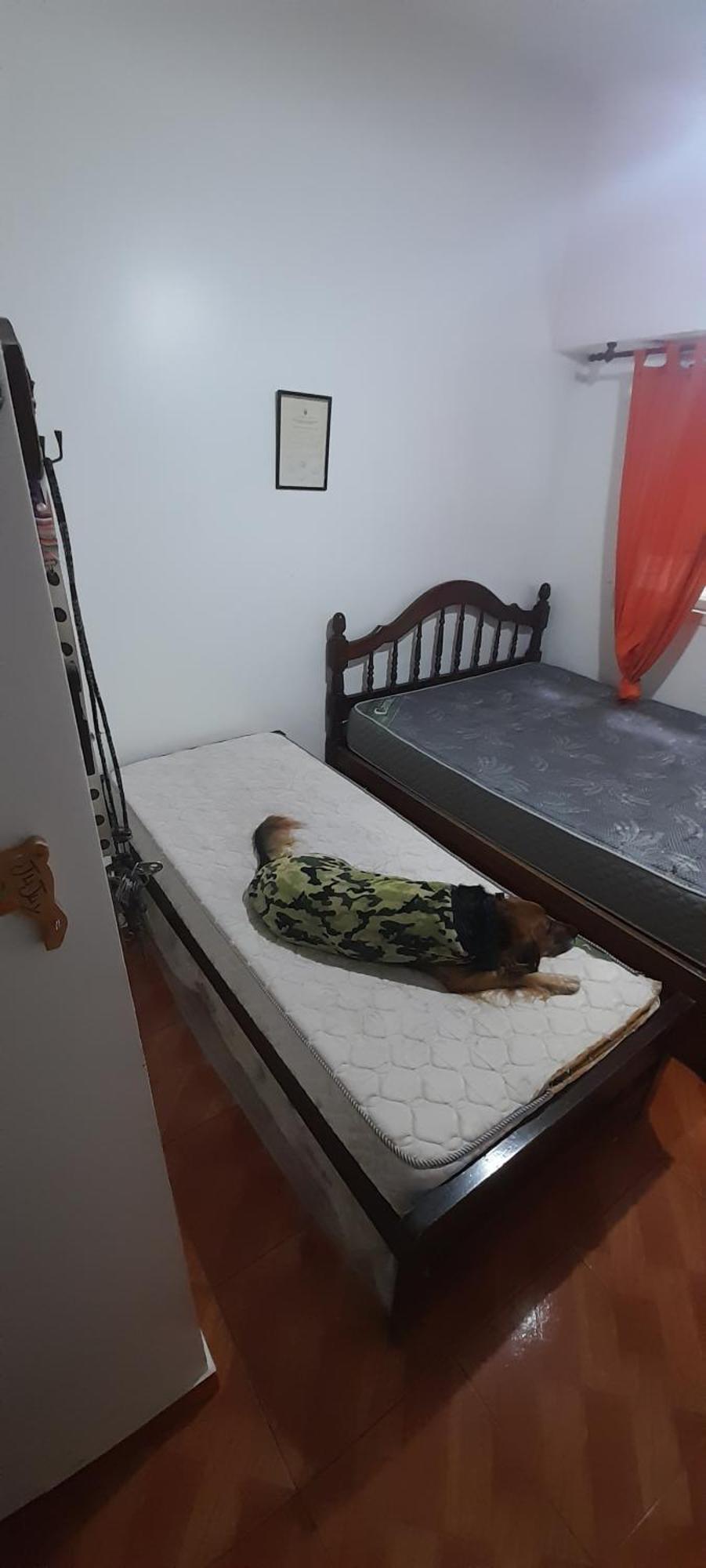 Doble Con Tv. * Ciudad Autónoma de Buenos Aires