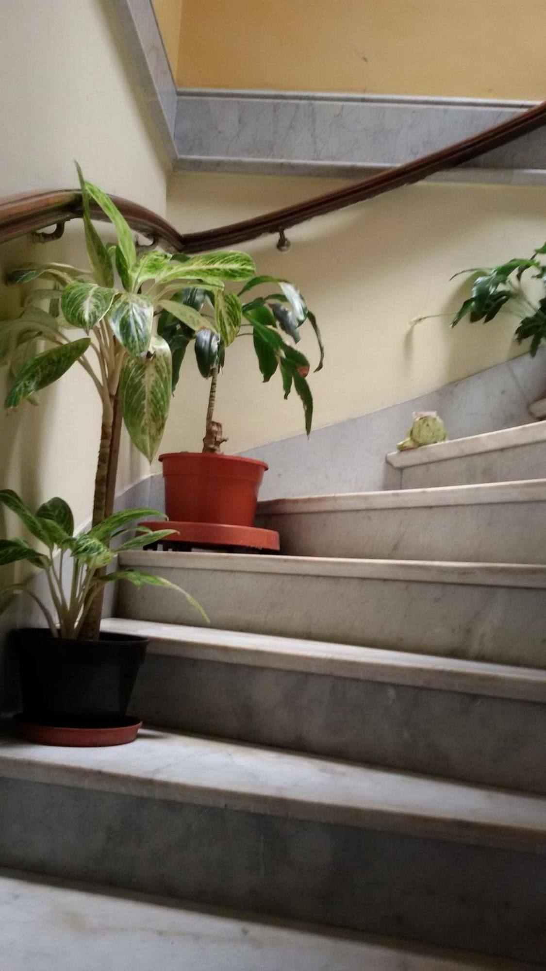 San Telmo Homestay