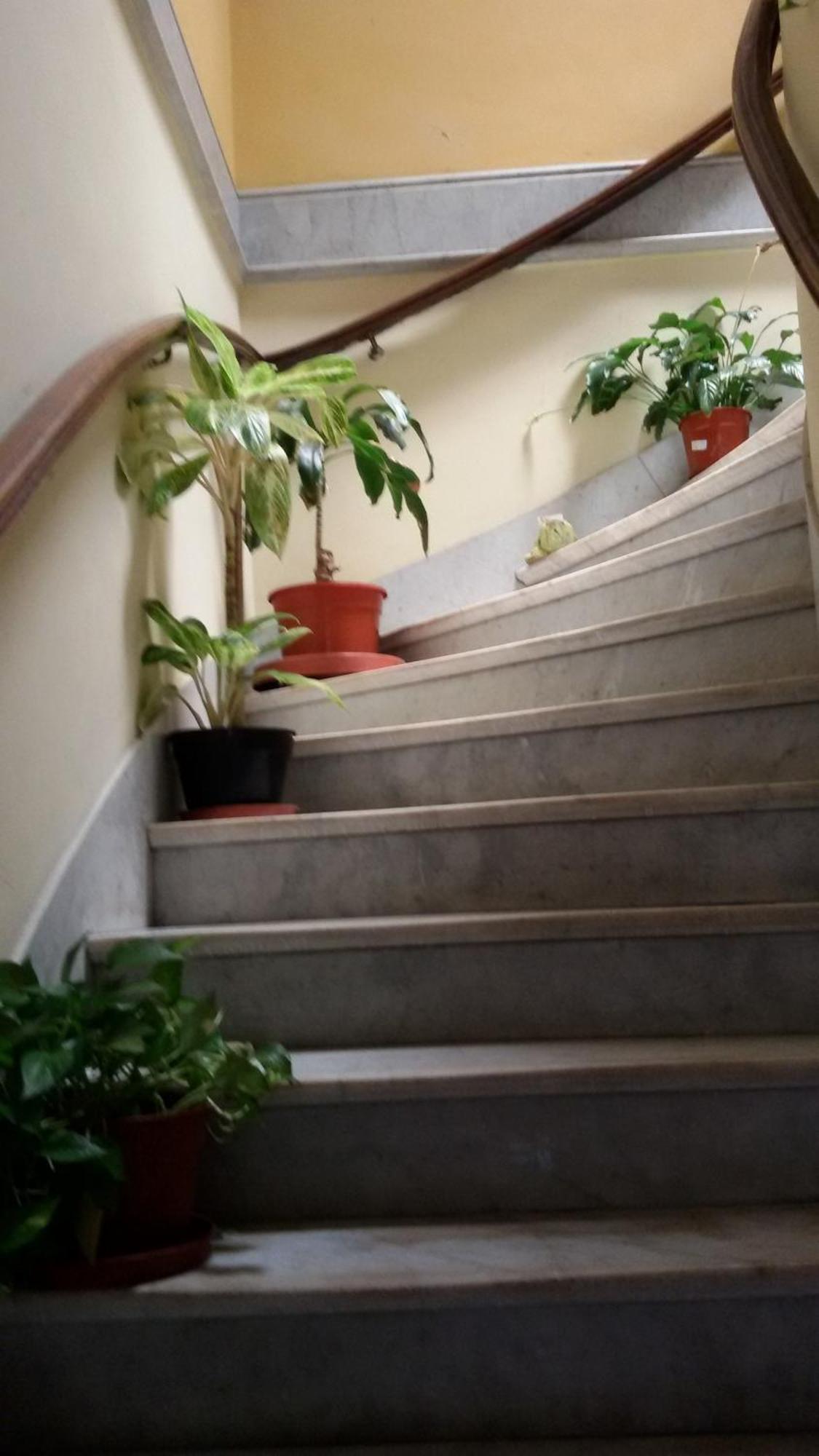 Homestay San Telmo *