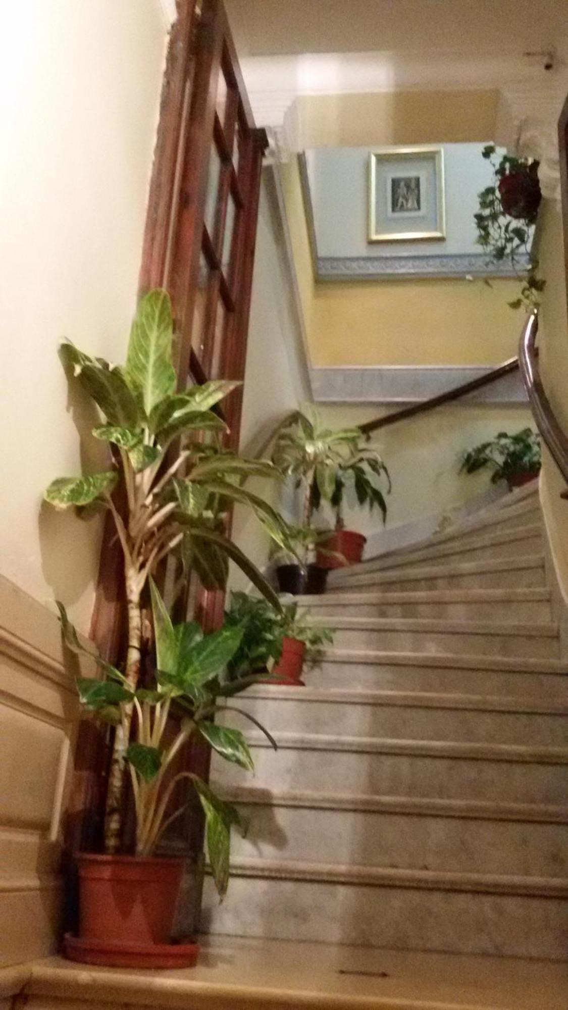 Homestay San Telmo *