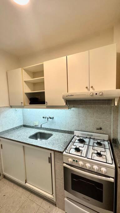Departamento De Estilo En La Isla De Recoleta. *