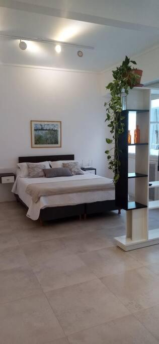 Apartamento Monoambiente En El Corazon De La Ciudad