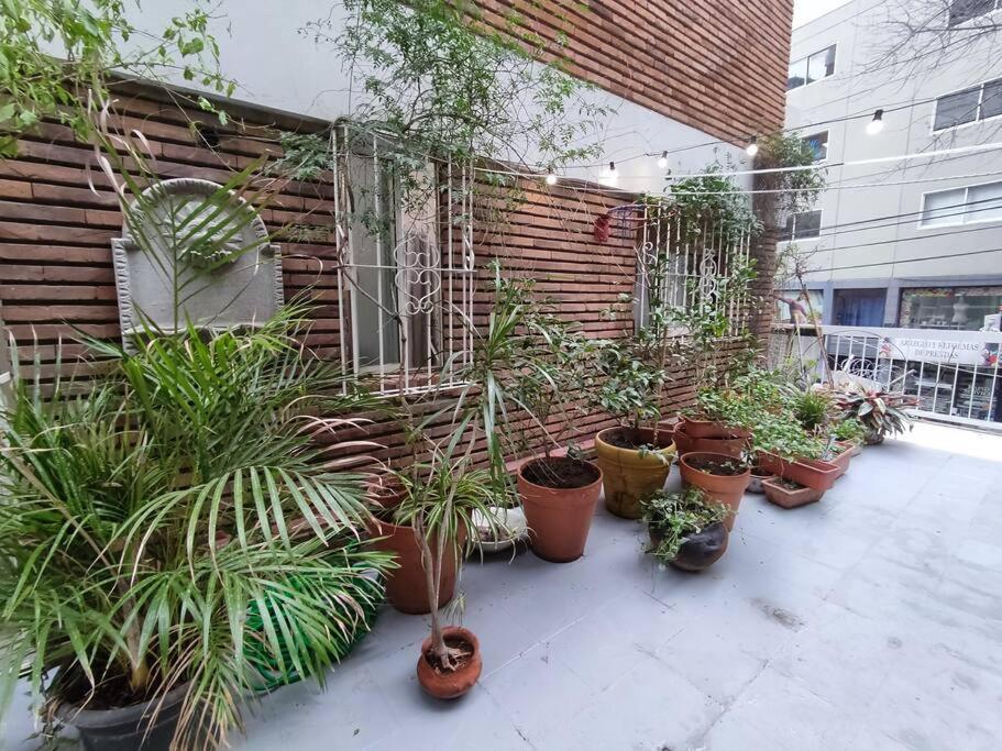 Beautifull With A Terrace In Recoleta *