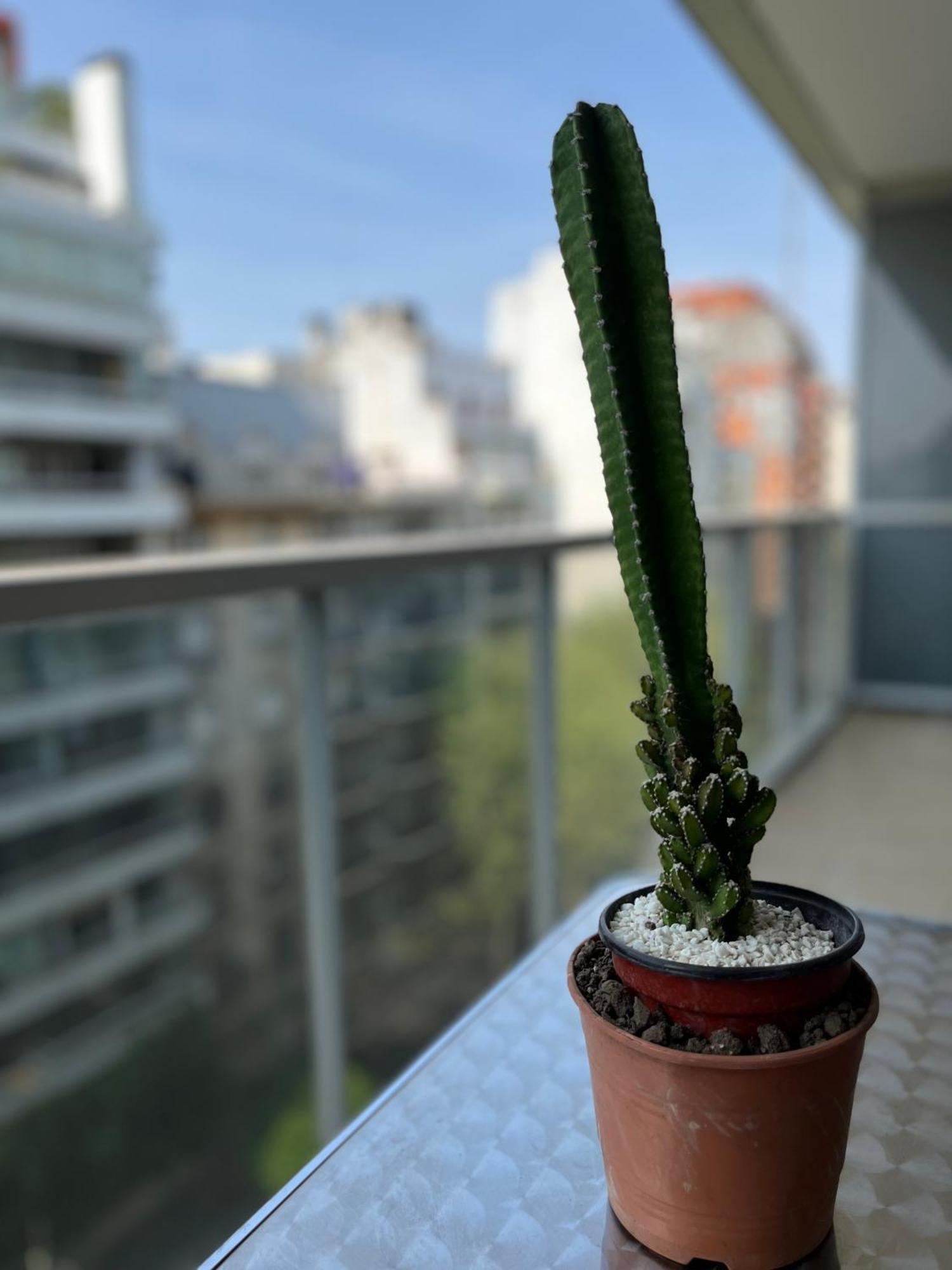 Apartamento Departamento Recoleta Iii *