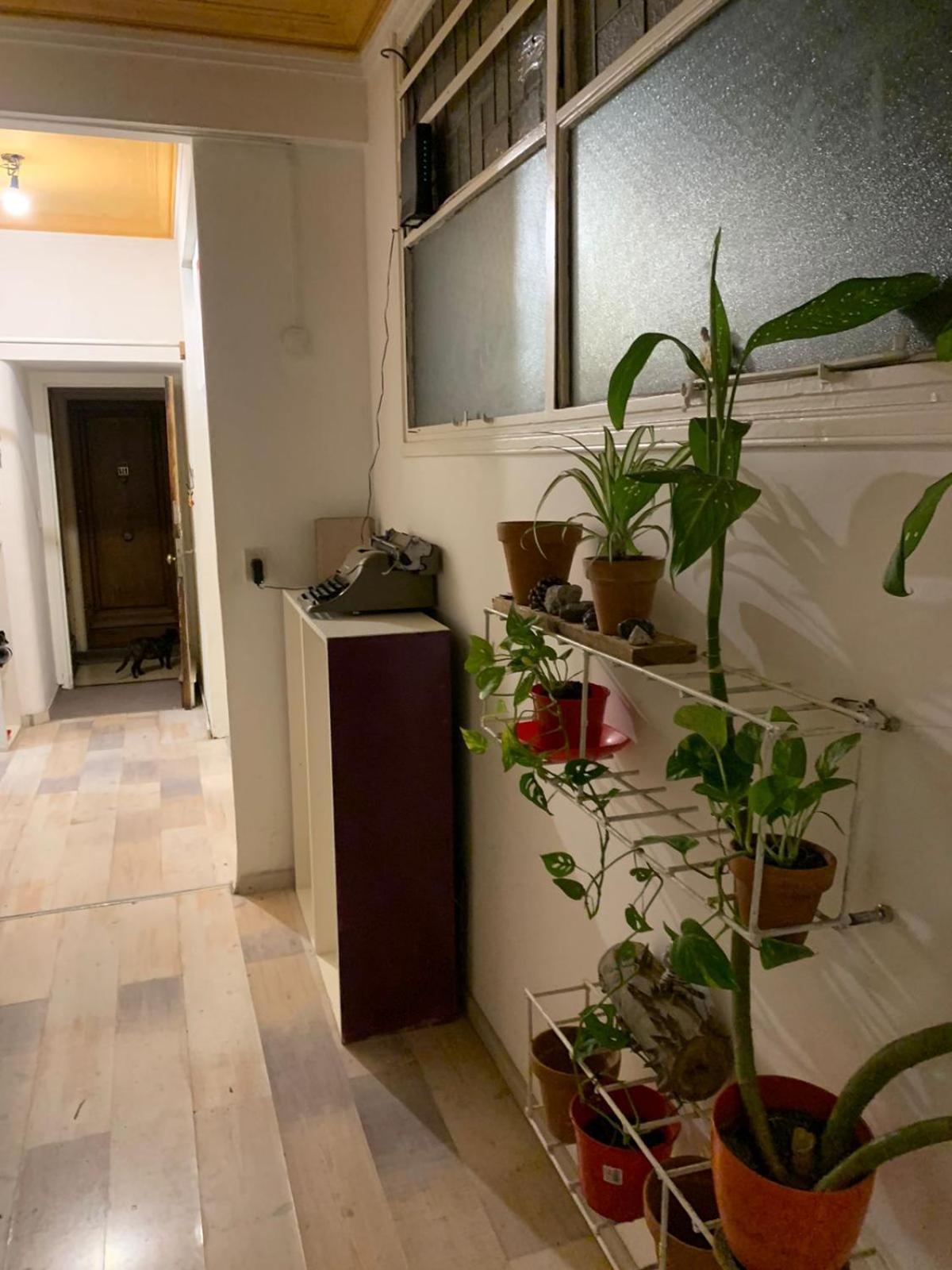 Individual En Departamento Compartido