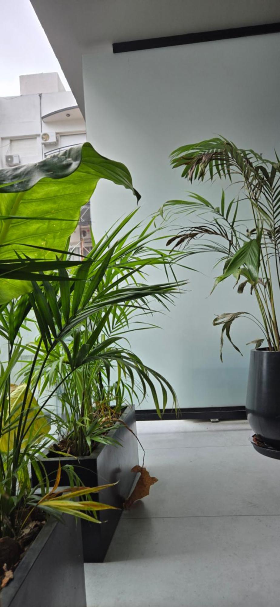 Apartamento Humboldt *