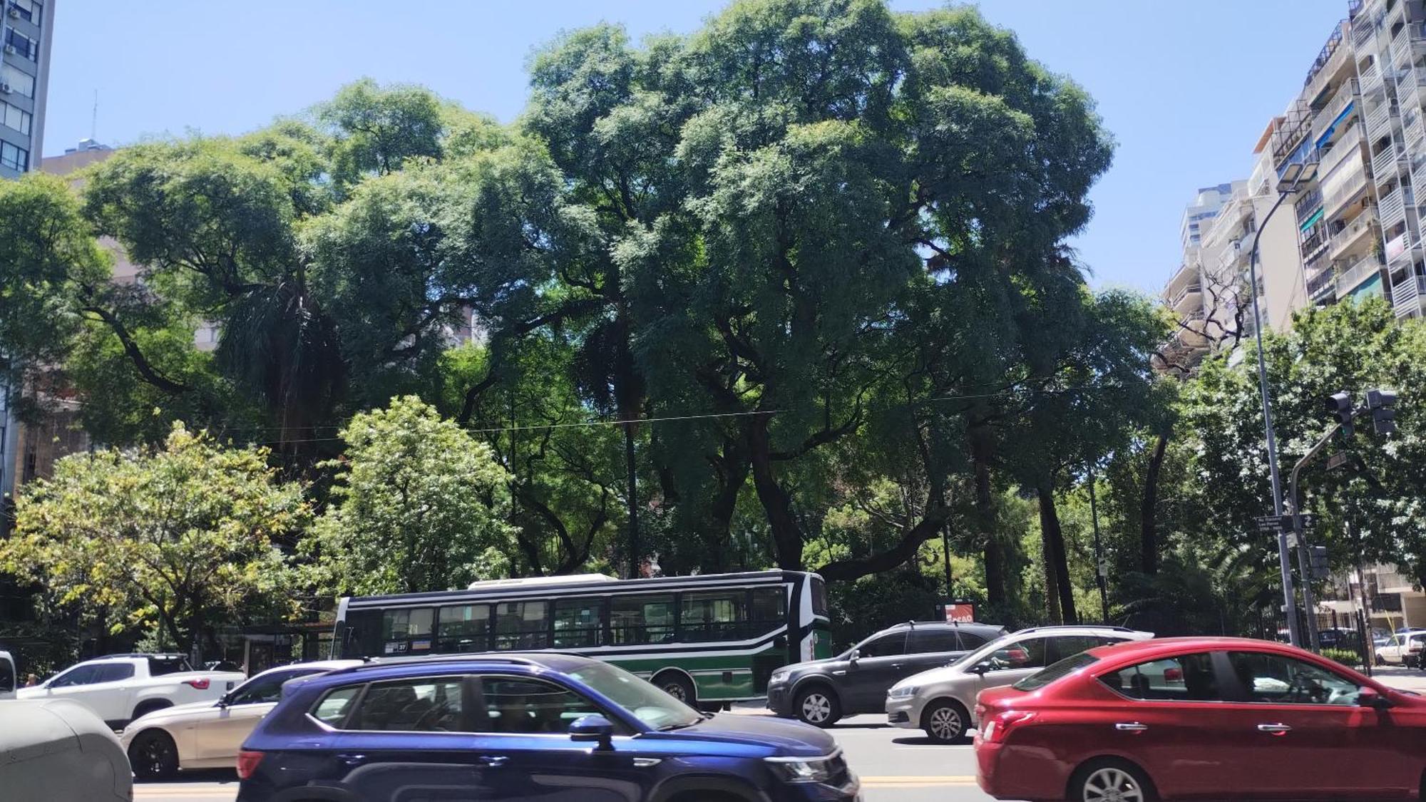 Departamento En Palermo Al Lado De Parque Heras * Ciudad Autónoma de Buenos Aires