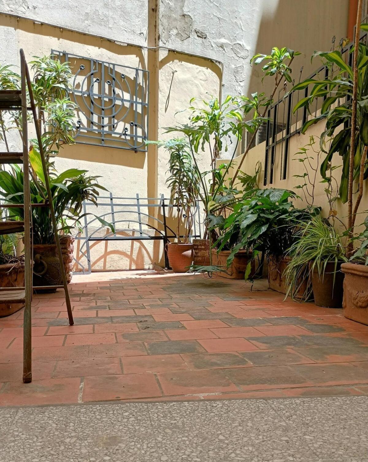 Calas Recoleta * Buenos Aires
