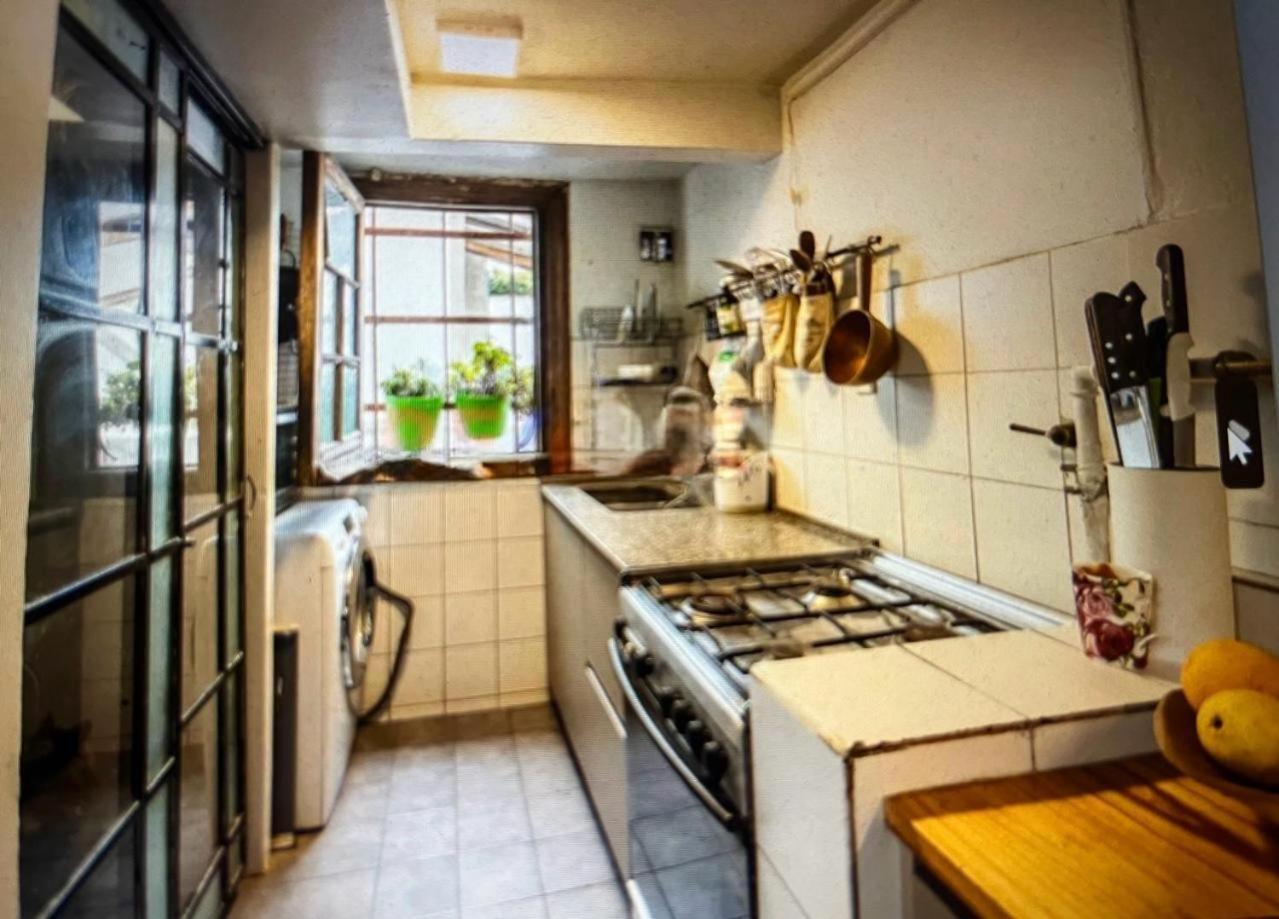 Apartamento Antique,classy & Quiet 3 Bedroom And Roof Terrace In The Heart Of San Telmo