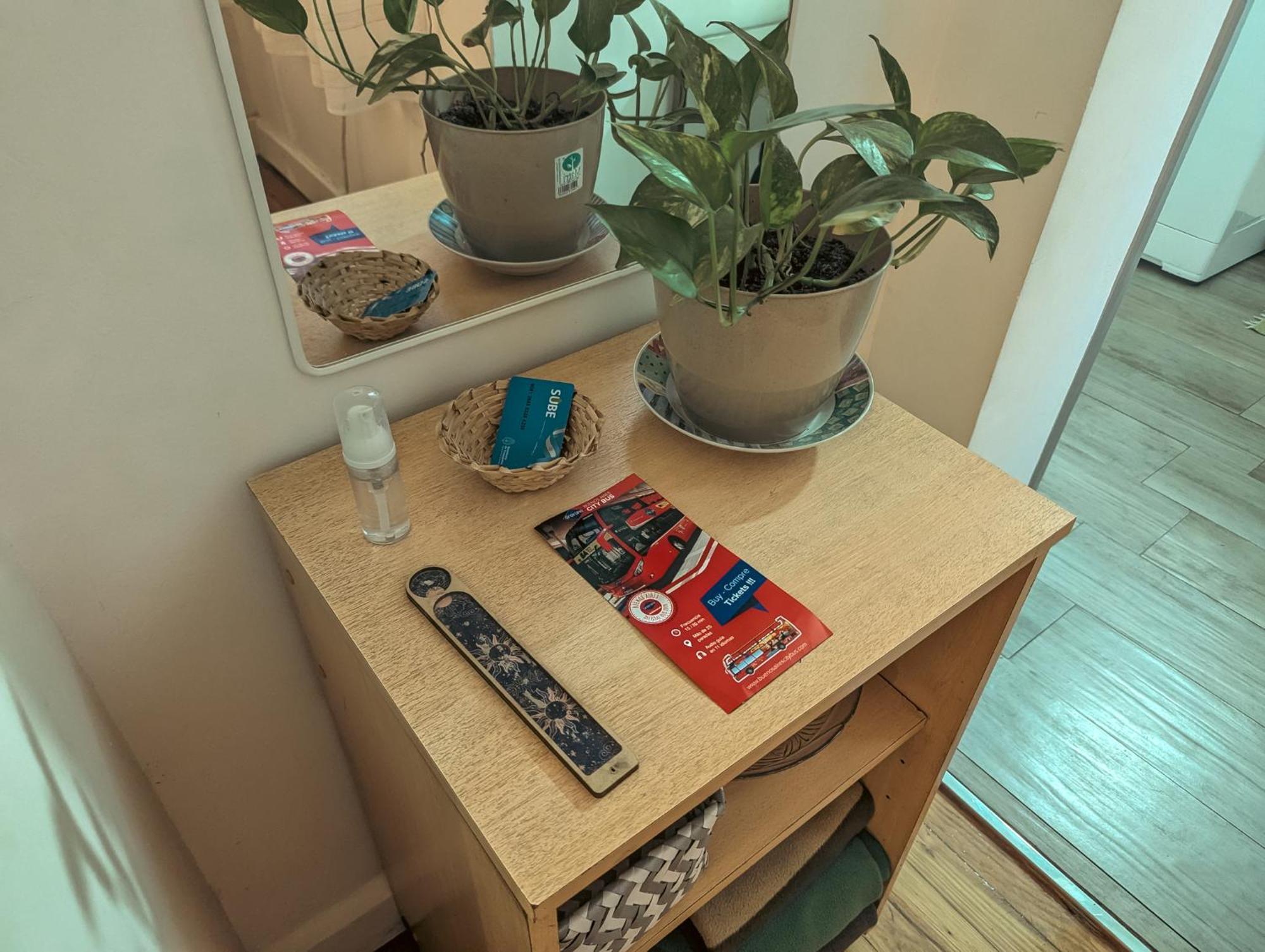 Apartment Ubicacion Especial, Ideal Turista