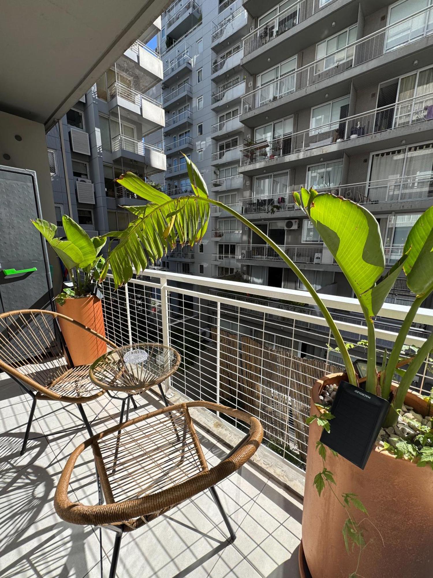 Foster Hollywood * Ciudad Autónoma de Buenos Aires