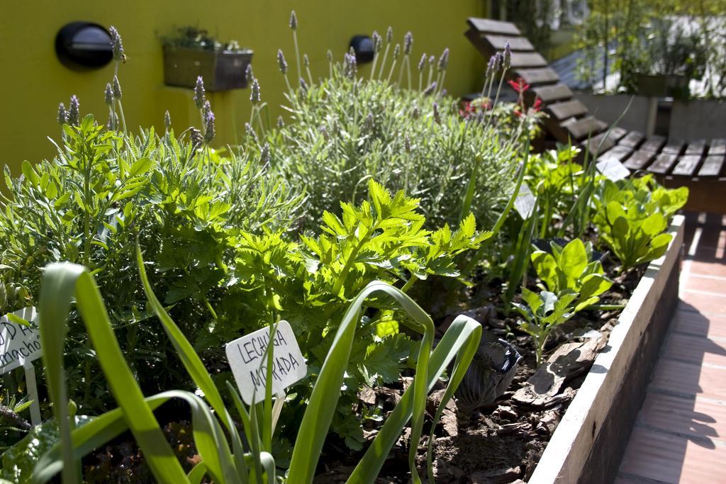 Eco Pampa Palermo Hostal